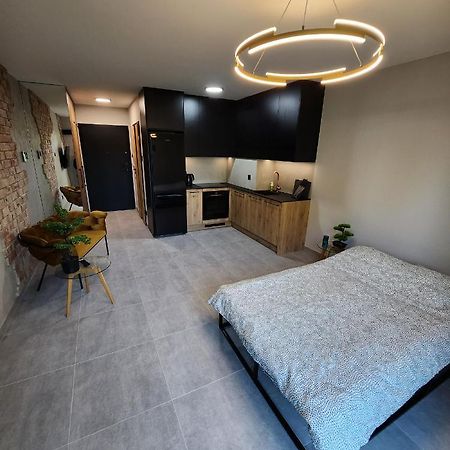 Przystan Nad Wisla Gym,Pool And Spa Free Parking 크라쿠프 외부 사진